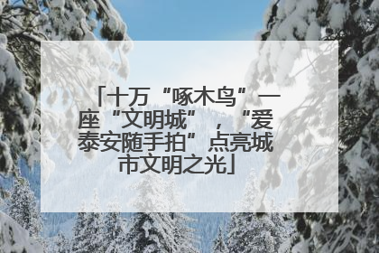 十万“啄木鸟”一座“文明城”，“爱泰安随手拍”点亮城市文明之光