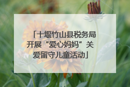 十堰竹山县税务局开展“爱心妈妈”关爱留守儿童活动