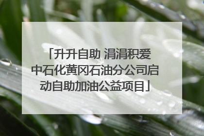 升升自助 涓涓积爱 中石化黄冈石油分公司启动自助加油公益项目