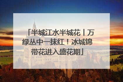 半城江水半城花丨万绿丛中一抹红！冰城锦带花进入盛花期