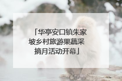 华亭安口镇朱家坡乡村旅游果蔬采摘月活动开幕
