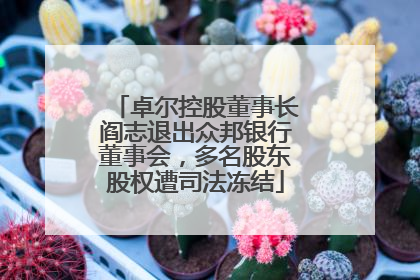 卓尔控股董事长阎志退出众邦银行董事会，多名股东股权遭司法冻结