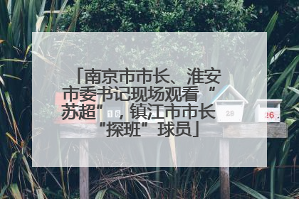 南京市市长、淮安市委书记现场观看“苏超”，镇江市市长“探班”球员