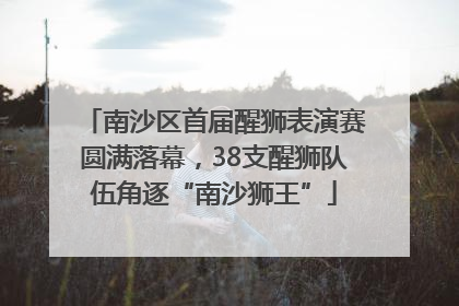 南沙区首届醒狮表演赛圆满落幕，38支醒狮队伍角逐“南沙狮王”