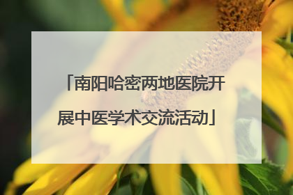 南阳哈密两地医院开展中医学术交流活动