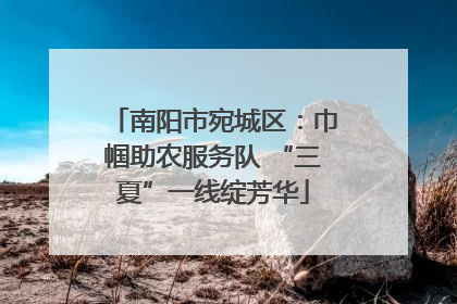 南阳市宛城区：巾帼助农服务队 “三夏”一线绽芳华