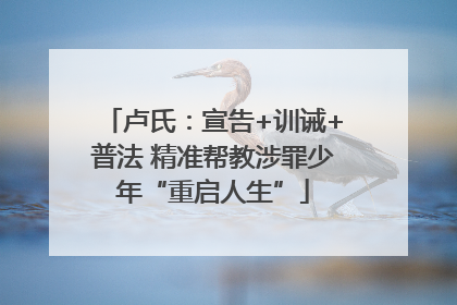 卢氏：宣告+训诫+普法 精准帮教涉罪少年“重启人生”