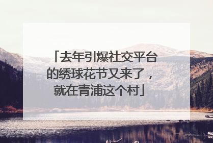 去年引爆社交平台的绣球花节又来了，就在青浦这个村