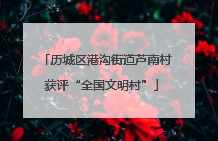 历城区港沟街道芦南村获评“全国文明村”