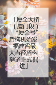 厦金大桥（厦门段）“厦金号”盾构机始发 福建省最大直径盾构隧道正式掘进