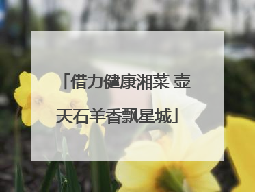 借力健康湘菜 壶天石羊香飘星城
