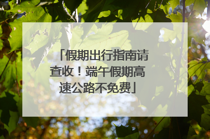 假期出行指南请查收！端午假期高速公路不免费