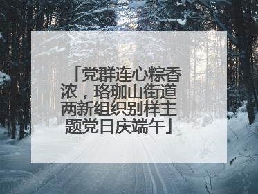 党群连心粽香浓，珞珈山街道两新组织别样主题党日庆端午
