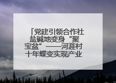 党建引领合作社 盐碱地变身“聚宝盆”——河涯村十年蝶变实现产业兴村群众富