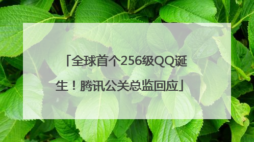 全球首个256级QQ诞生！腾讯公关总监回应