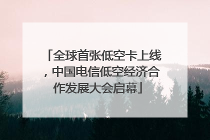 全球首张低空卡上线，中国电信低空经济合作发展大会启幕