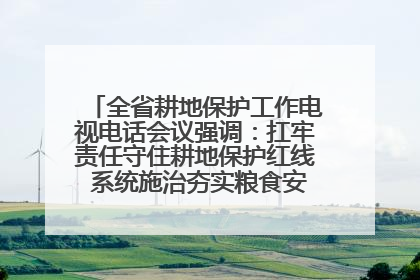 全省耕地保护工作电视电话会议强调：扛牢责任守住耕地保护红线 系统施治夯实粮食安全根基 王宁作出批示 王予波出席并讲话