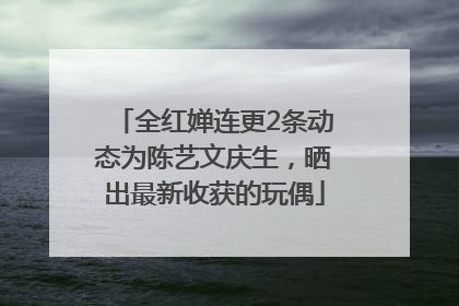 全红婵连更2条动态为陈艺文庆生，晒出最新收获的玩偶