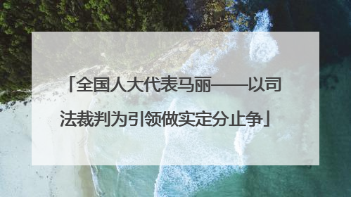 全国人大代表马丽——以司法裁判为引领做实定分止争