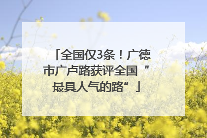 全国仅3条！广德市广卢路获评全国“最具人气的路”