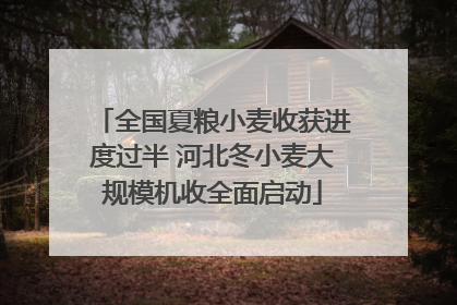 全国夏粮小麦收获进度过半 河北冬小麦大规模机收全面启动