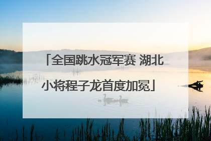 全国跳水冠军赛 湖北小将程子龙首度加冕