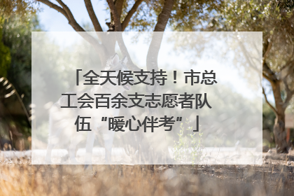 全天候支持！市总工会百余支志愿者队伍“暖心伴考”