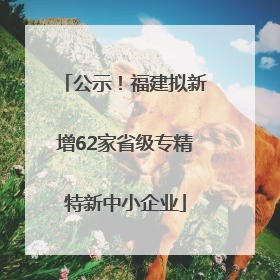 公示！福建拟新增62家省级专精特新中小企业