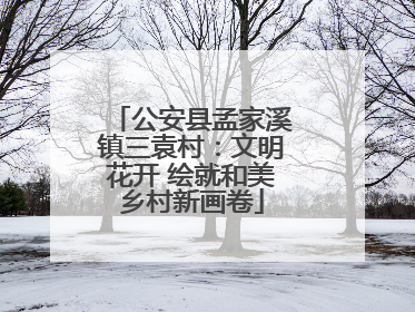 公安县孟家溪镇三袁村：文明花开 绘就和美乡村新画卷