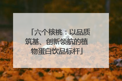 六个核桃：以品质筑基、创新领航的植物蛋白饮品标杆