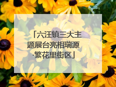 六汪镇三大主题展台亮相瑞源·繁花里街区