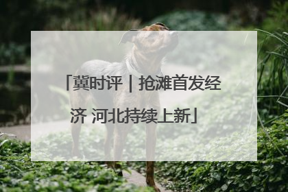冀时评｜抢滩首发经济 河北持续上新