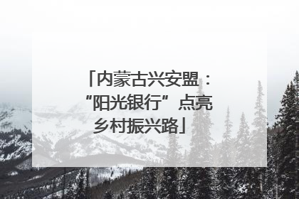 内蒙古兴安盟：“阳光银行”点亮乡村振兴路