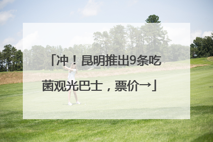 冲！昆明推出9条吃菌观光巴士，票价→
