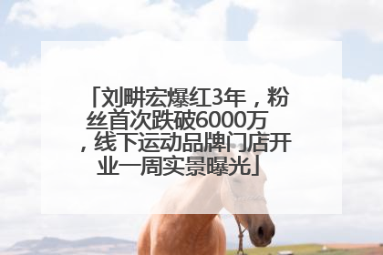 刘畊宏爆红3年，粉丝首次跌破6000万，线下运动品牌门店开业一周实景曝光