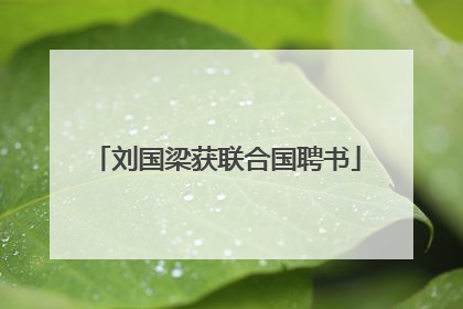 刘国梁获联合国聘书