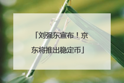 刘强东宣布！京东将推出稳定币
