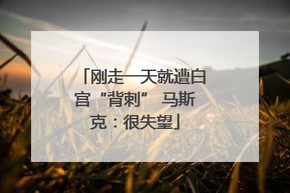 刚走一天就遭白宫“背刺” 马斯克：很失望