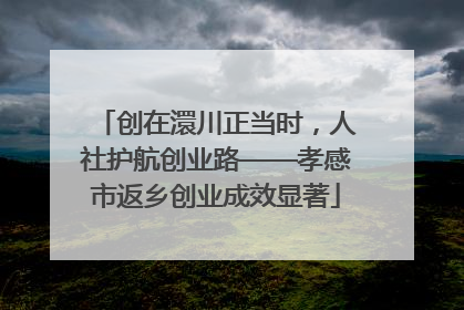 创在澴川正当时，人社护航创业路——孝感市返乡创业成效显著