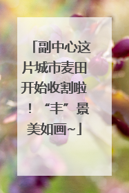 副中心这片城市麦田开始收割啦！“丰”景美如画~