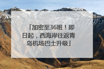 加密至36班！即日起，西海岸往返青岛机场巴士升级