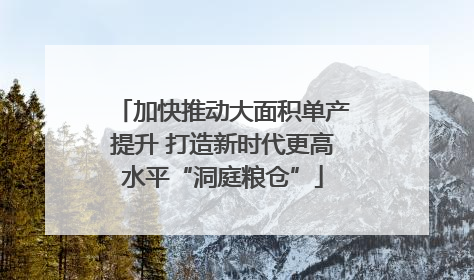 加快推动大面积单产提升 打造新时代更高水平“洞庭粮仓”