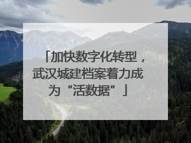 加快数字化转型，武汉城建档案着力成为“活数据”