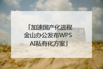 加速国产化进程 金山办公发布WPS AI私有化方案