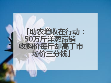 助农增收在行动：50万斤洋葱滞销 收购价每斤却高于市场价三分钱