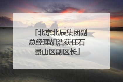北京北辰集团副总经理胡浩获任石景山区副区长