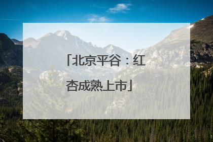 北京平谷：红杏成熟上市