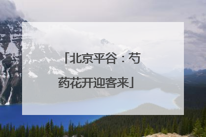 北京平谷：芍药花开迎客来