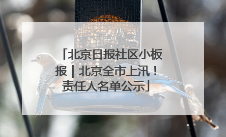 北京日报社区小板报｜北京全市上汛！责任人名单公示