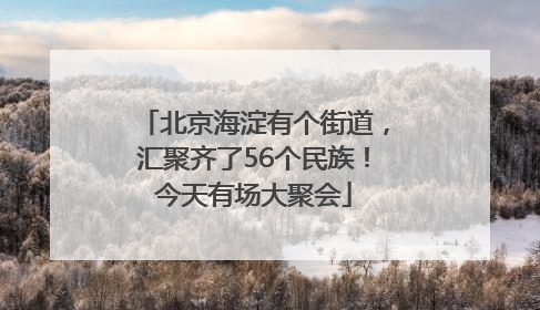 北京海淀有个街道，汇聚齐了56个民族！今天有场大聚会